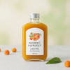 Bottiglia per bevande in vetro con boccetta da 110 ml con tappo a vite all'ingrosso